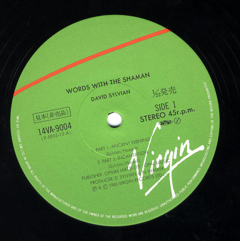 Words With The Shaman