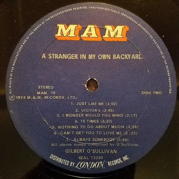 A Stranger In My Own Backyard