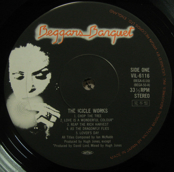 The Icicle Works
