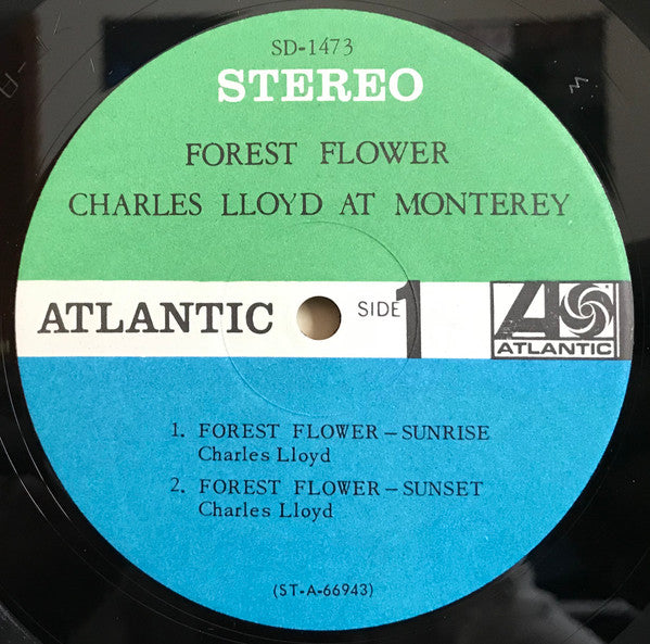 Forest Flower