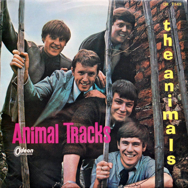 Animal Tracks