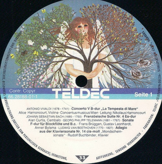 Baum Der Jahreszeiten