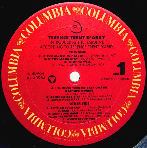 Introducing The Hardline According To Terence Trent D'Arby