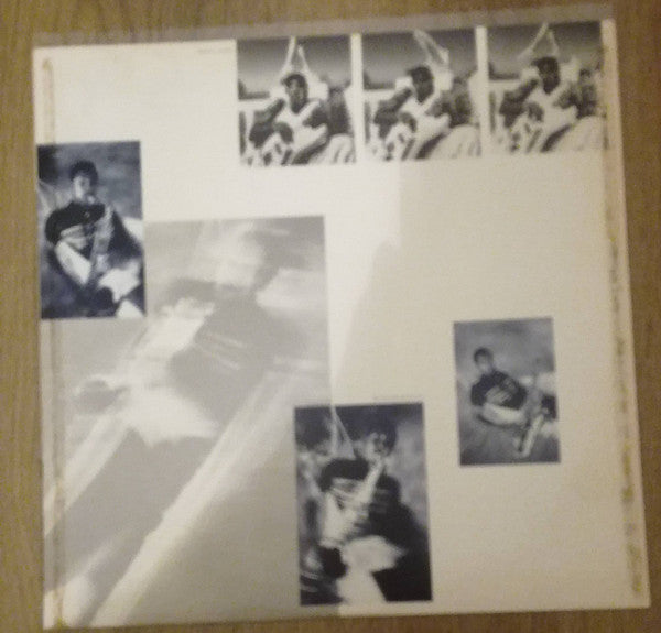 The Dream Of The Blue Turtles