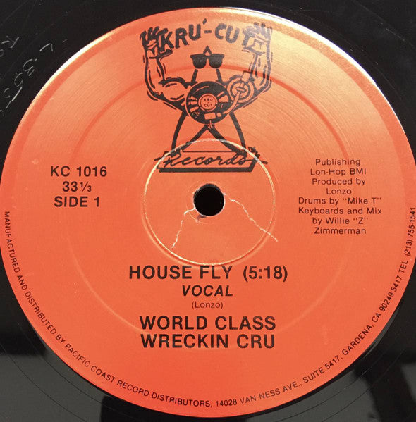 House Fly