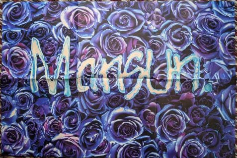 Attack Of The Grey Lantern