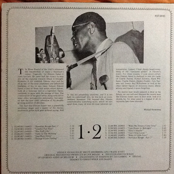 The Resurrection Of Elmore James