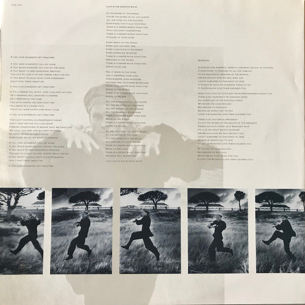 The Dream Of The Blue Turtles