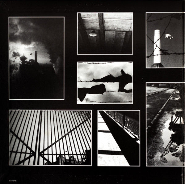 Animals = アニマルズ