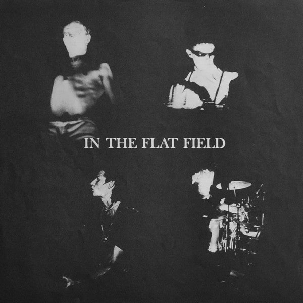 In The Flat Field