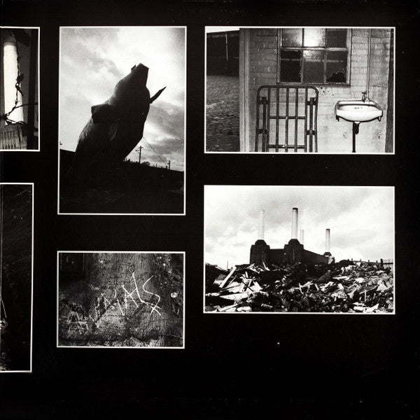 Animals = アニマルズ