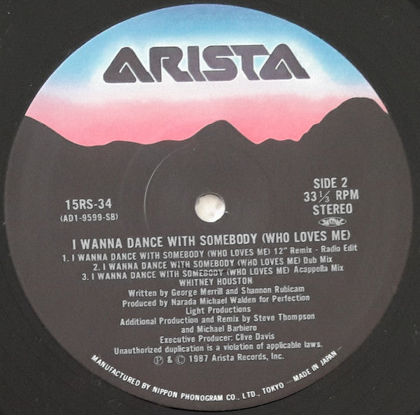 I Wanna Dance With Somebody (Who Loves Me)