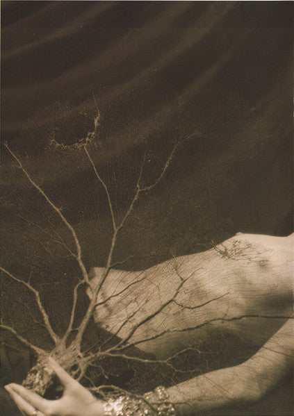 Pithecan Thropus Erectus