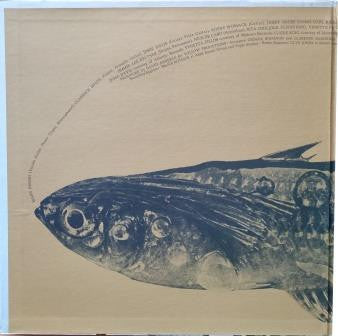 Minnows