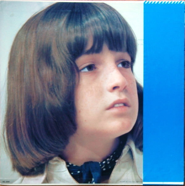 ミドリ色の屋根