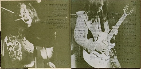 When The Raven Has Come To The Earth