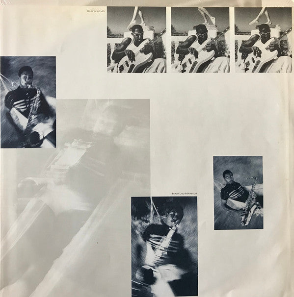 The Dream Of The Blue Turtles