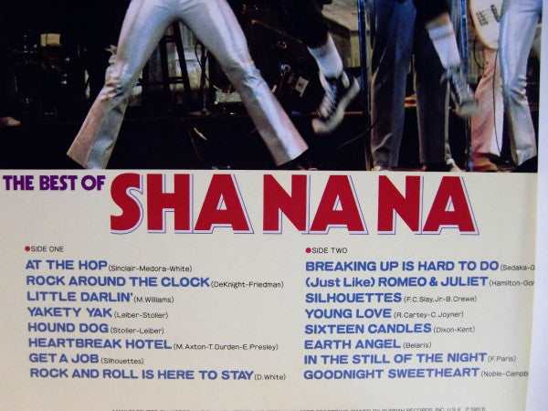 The Best Of Sha Na Na