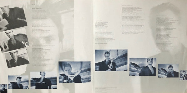 The Dream Of The Blue Turtles