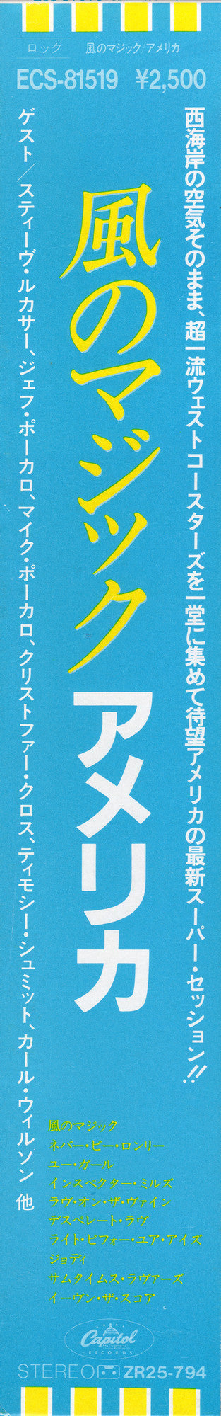 View From The Ground