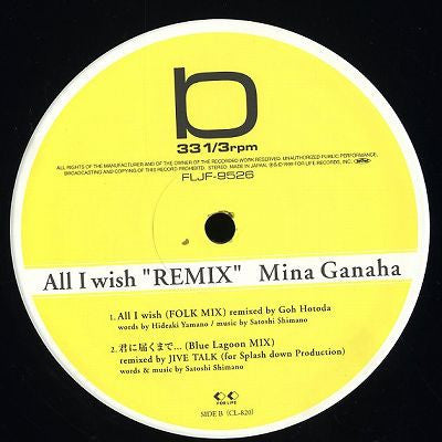 All I Wish "Remix"