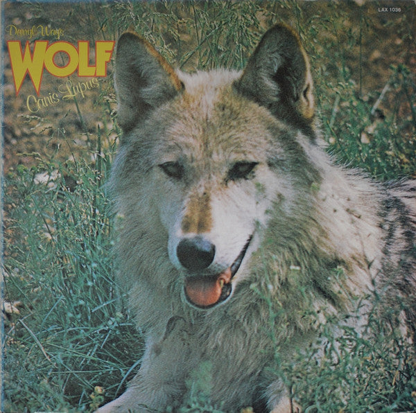 Canis Lupus
