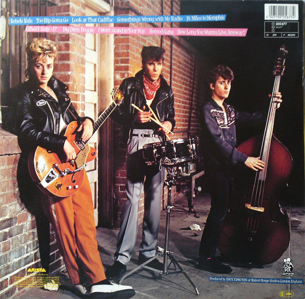 Rant N' Rave With The Stray Cats