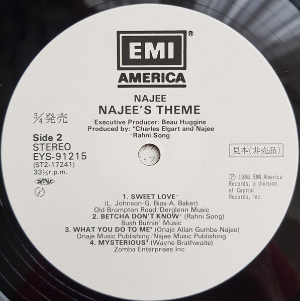 Najee's Theme