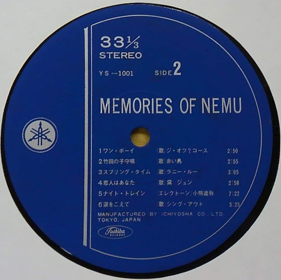 The World Music Festival