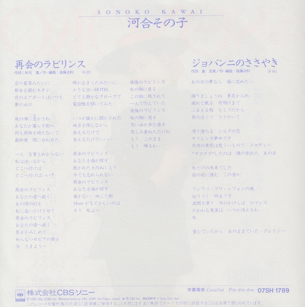 再会のラビリンス = Saikai No Labyrinth