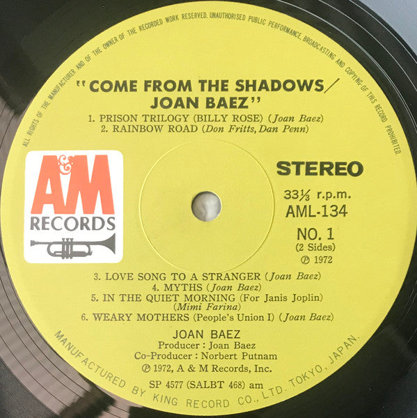 Come From The Shadows