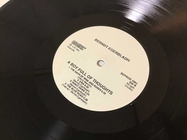 A Boy Full Of Thoughts