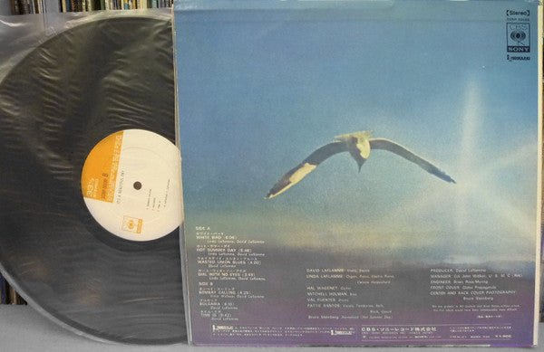 It's A Beautiful Day