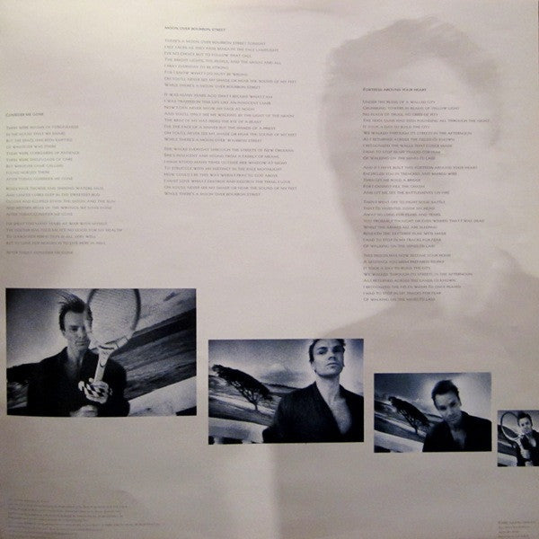 The Dream Of The Blue Turtles