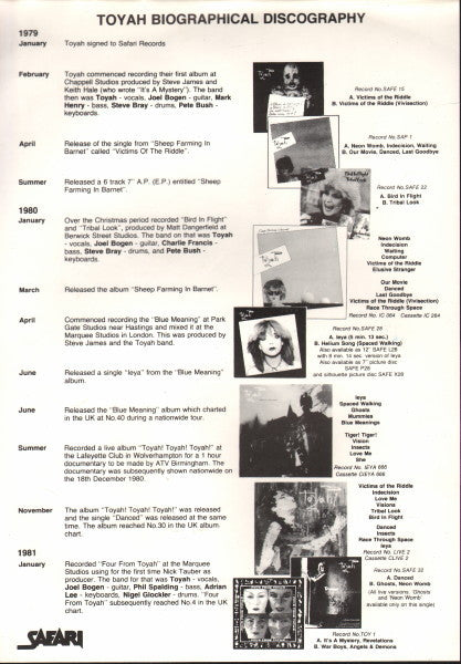 Warrior Rock (Toyah On Tour)