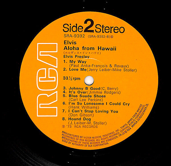 The Concert In Central Park