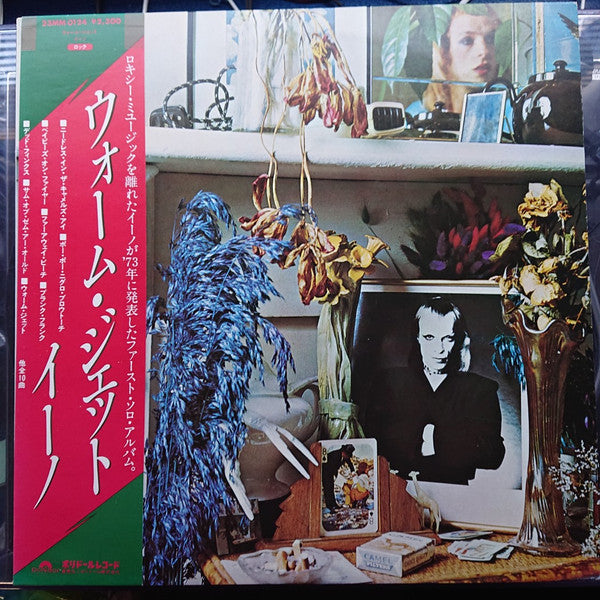 Here Come The Warm Jets