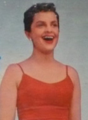 Lee Schaefer
