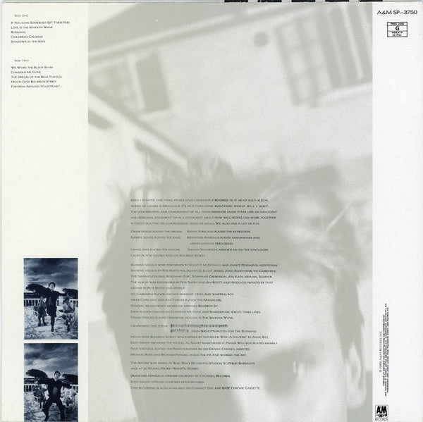 The Dream Of The Blue Turtles