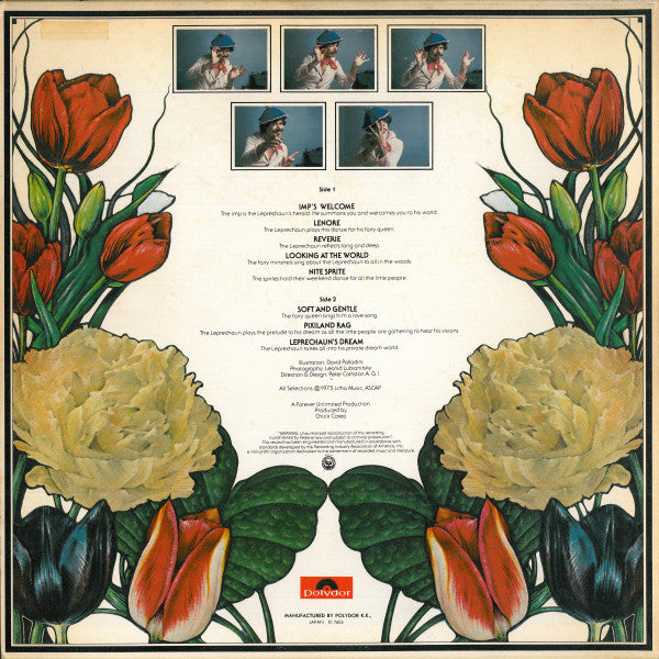 The Leprechaun = 妖精