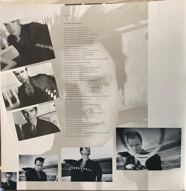 The Dream Of The Blue Turtles