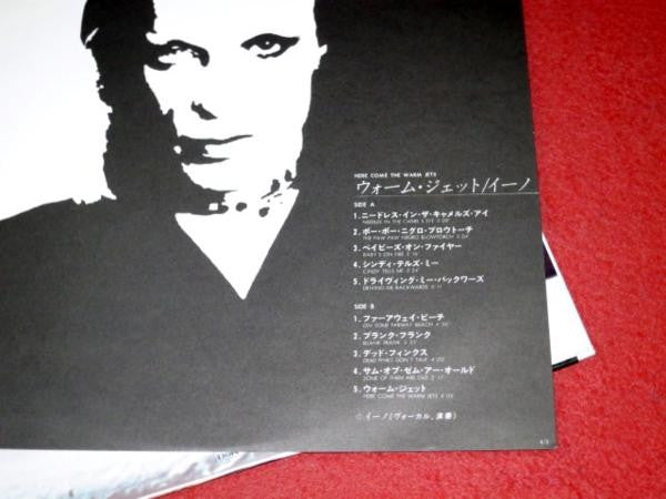 Here Come The Warm Jets