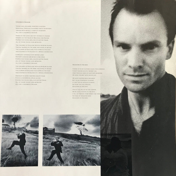 The Dream Of The Blue Turtles