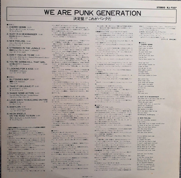 We Are Punk Generation = 決定盤!! これがパンクだ