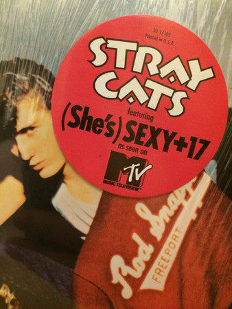 Rant N' Rave With The Stray Cats