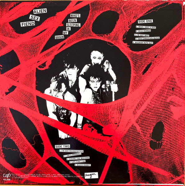 Who's Been Sleeping In My Brain