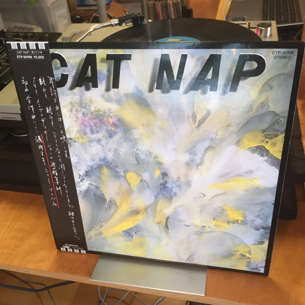 Cat Nap