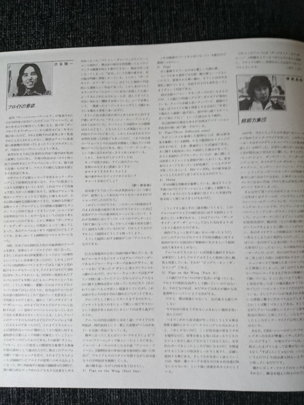 Animals = アニマルズ