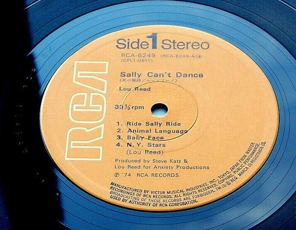 Sally Can't Dance = 死の舞踏