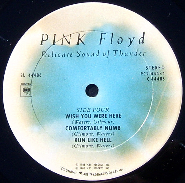 Delicate Sound Of Thunder